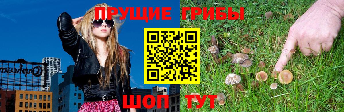 Галлюциногенные грибы Cubensis  Вход с VPN  Златоуст 
