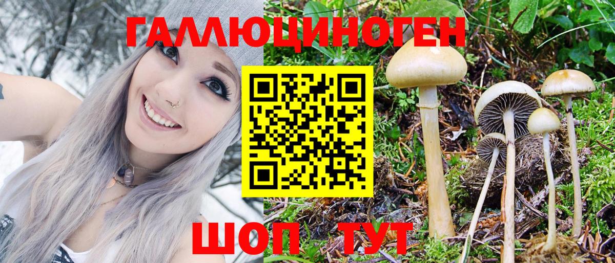 Галлюциногенные грибы Magic Shrooms Златоуст
